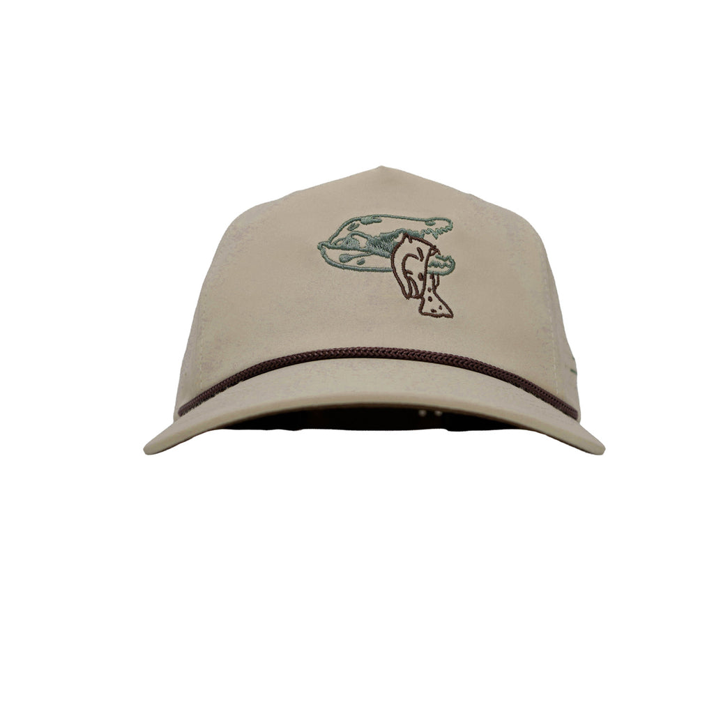 Gator Trout